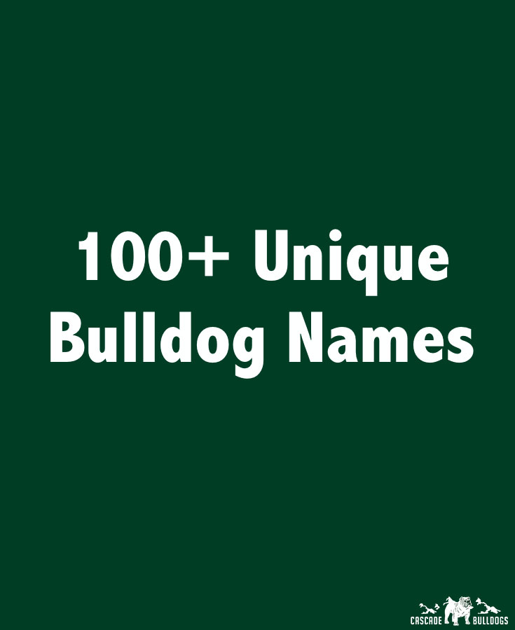 unique bulldog names