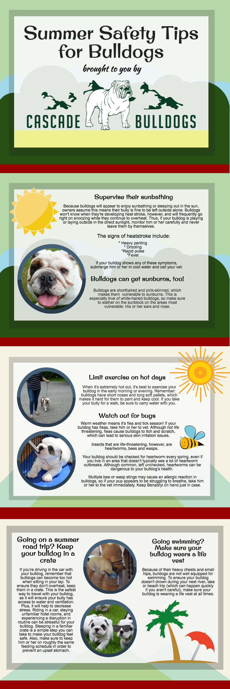 Tips for caring for your bulldog in the summer