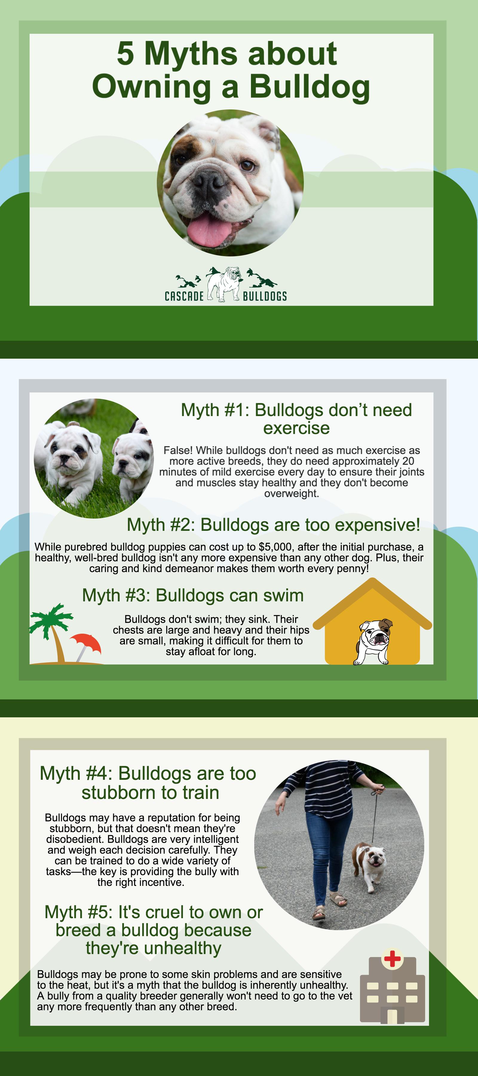 five myths about owning a bulldog