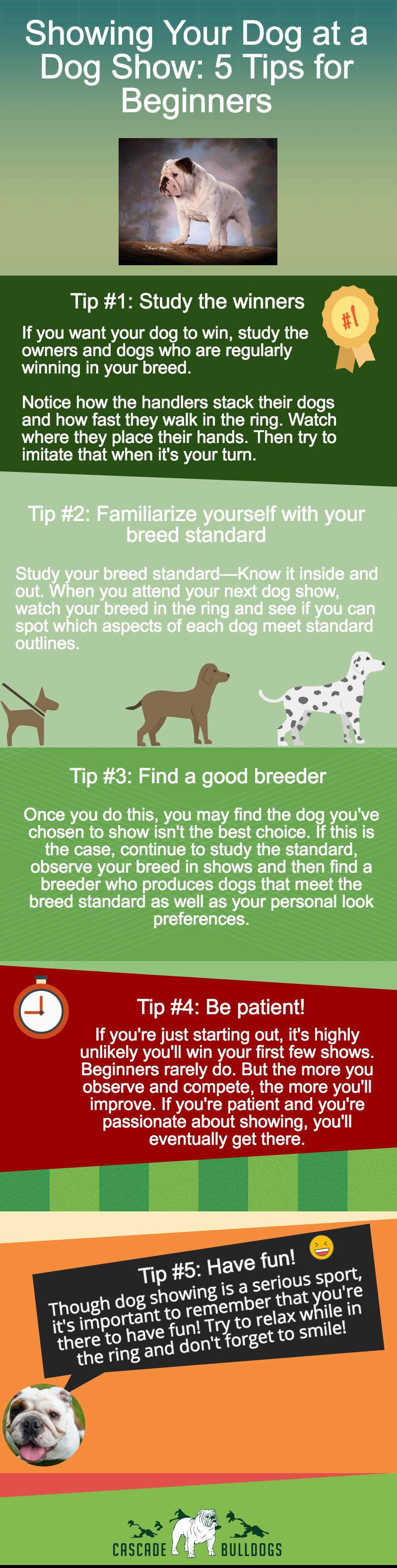 5 Dog Show Tips for Beginners