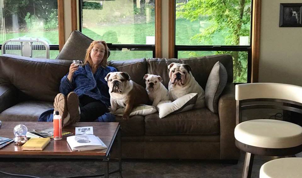 bulldogs couch potatoes
