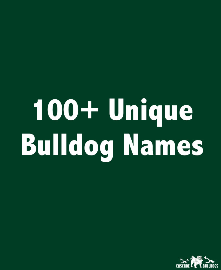 Best girl 2024 bulldog names