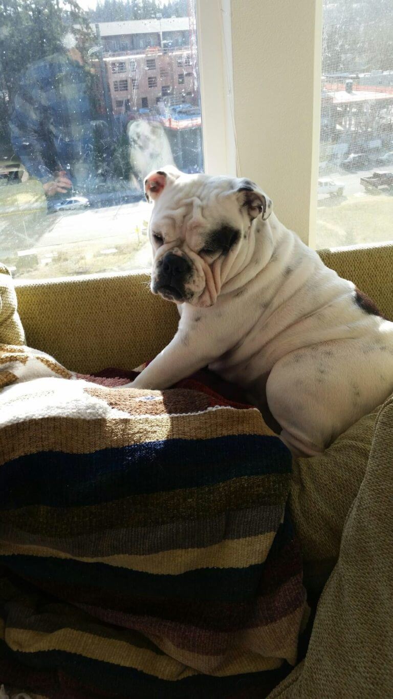 Emma sitting at window