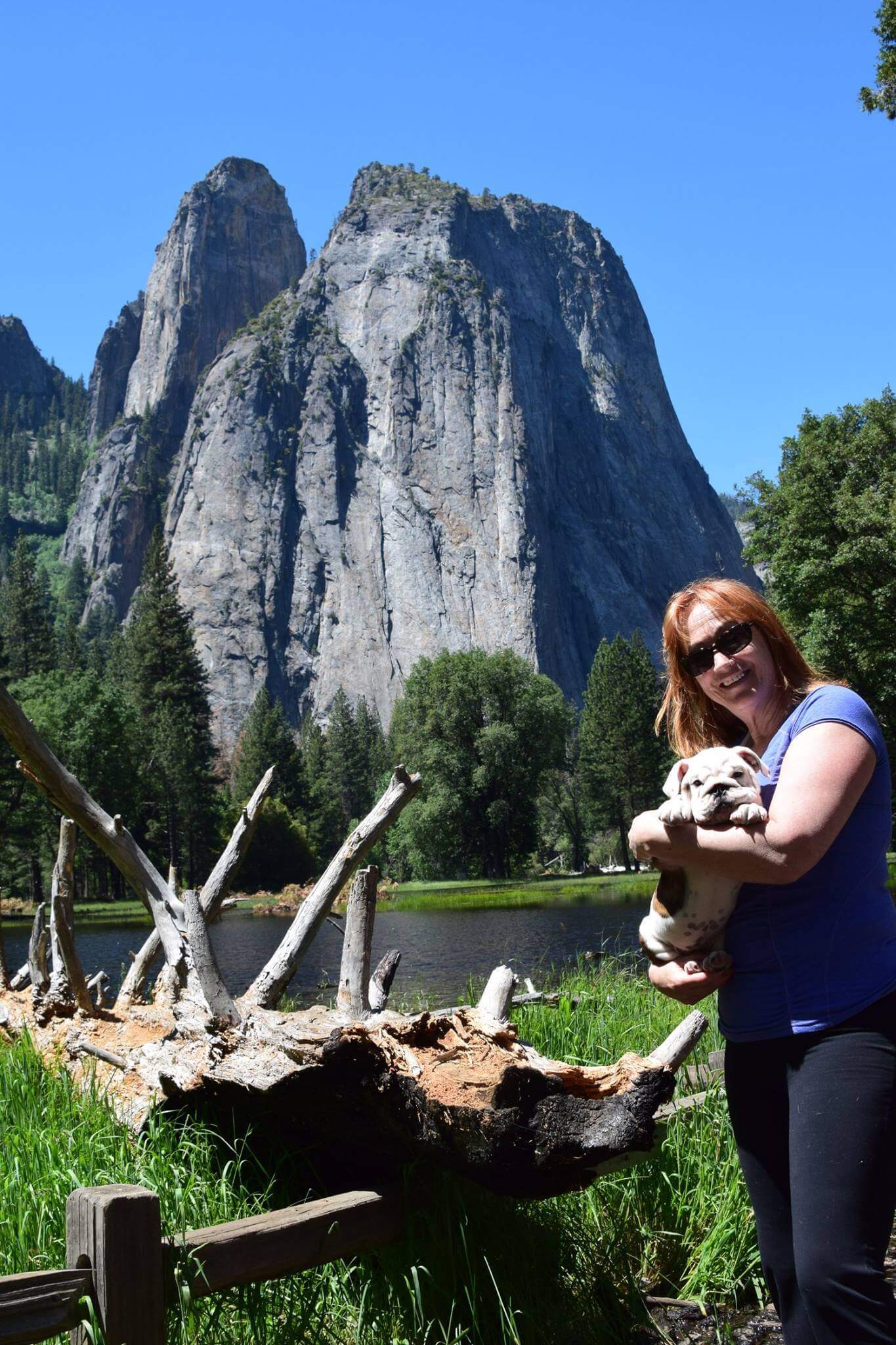 hiking with bulldog puppy