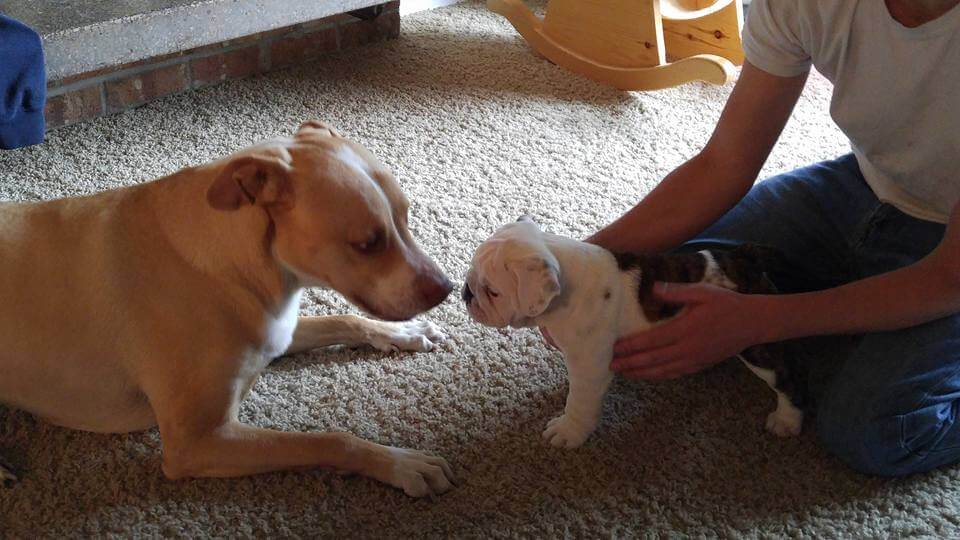 Vince meeting friend