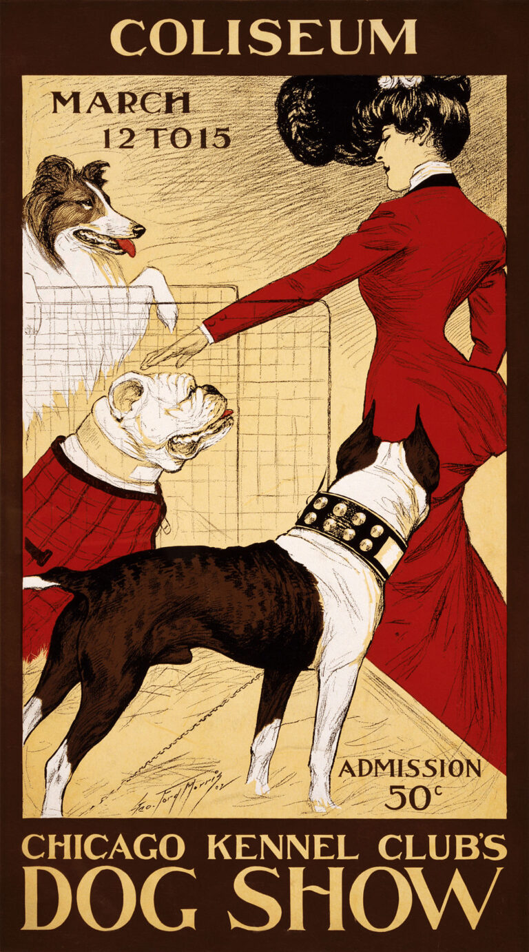 history-of-dog-shows-768x1382