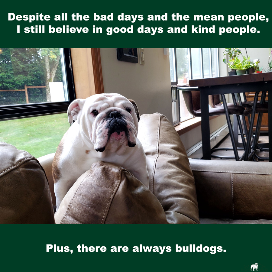 Despite all the bad days and the mean people, I still believe in good days and kind people. Plus, there are always bulldogs.