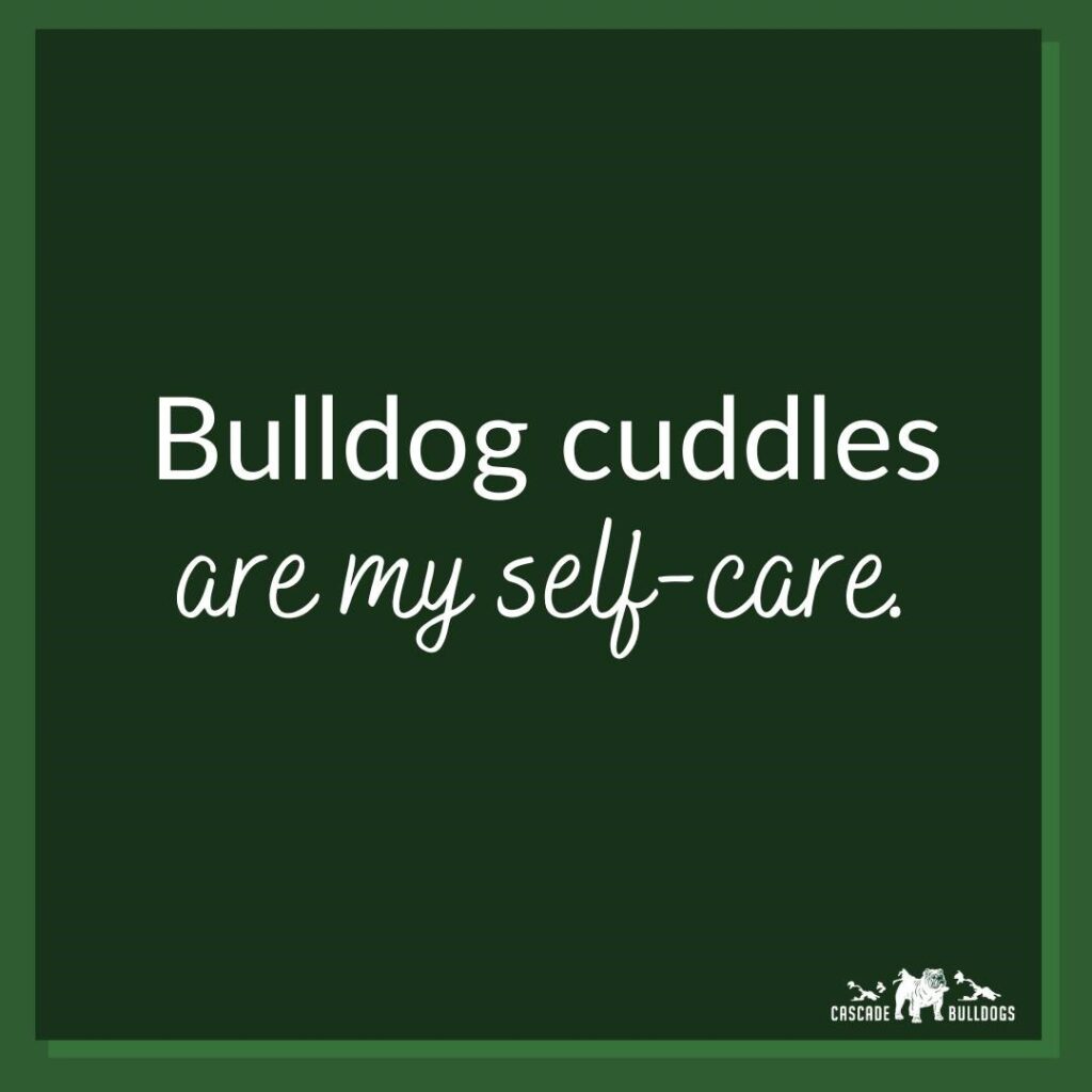 Bulldog cuddles are my self-care.