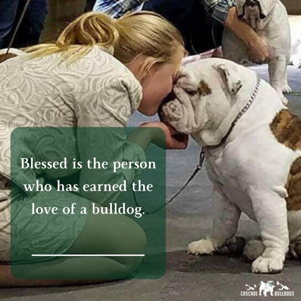 Blessed is the person who has earned the love of a bulldog.