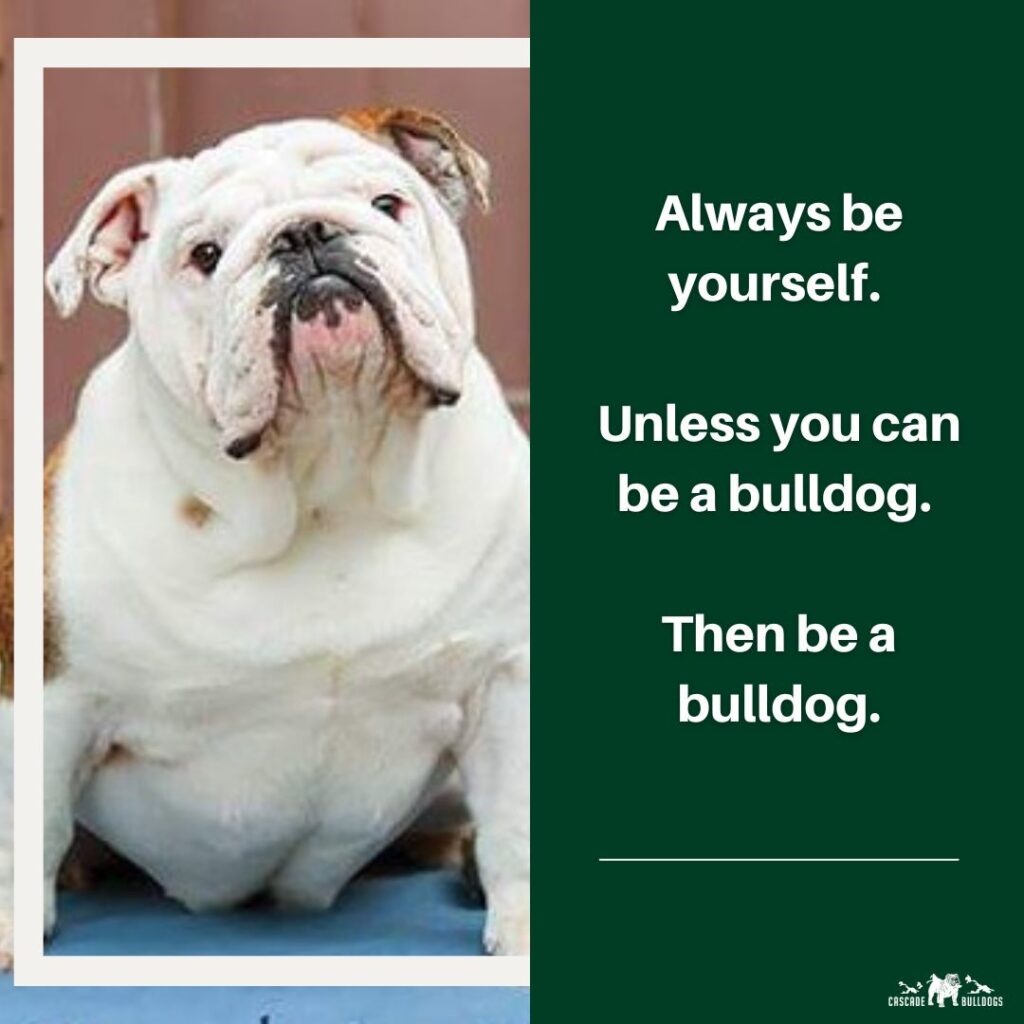 Always be yourself. Unless you can be a bulldog. Then be a bulldog.