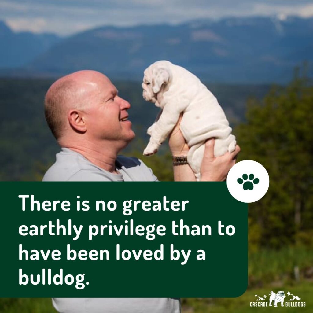 There is no greater privilege than to have been loved by a bulldog.