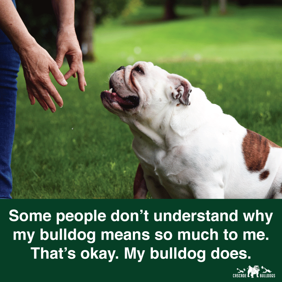 Some people don't understand why my bulldog means so much to me. That's okay. My bulldog does.