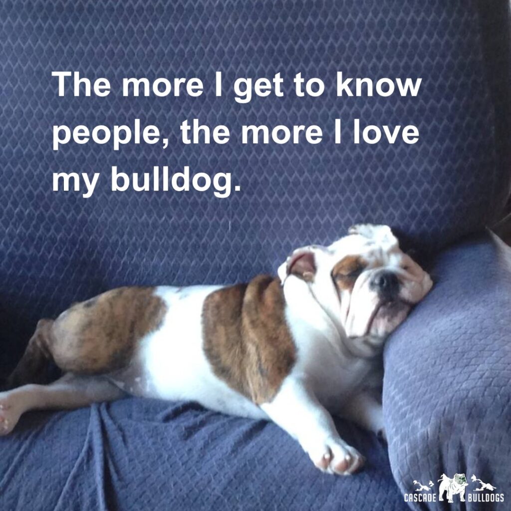 The more I get to know people, the more I love my bulldog.