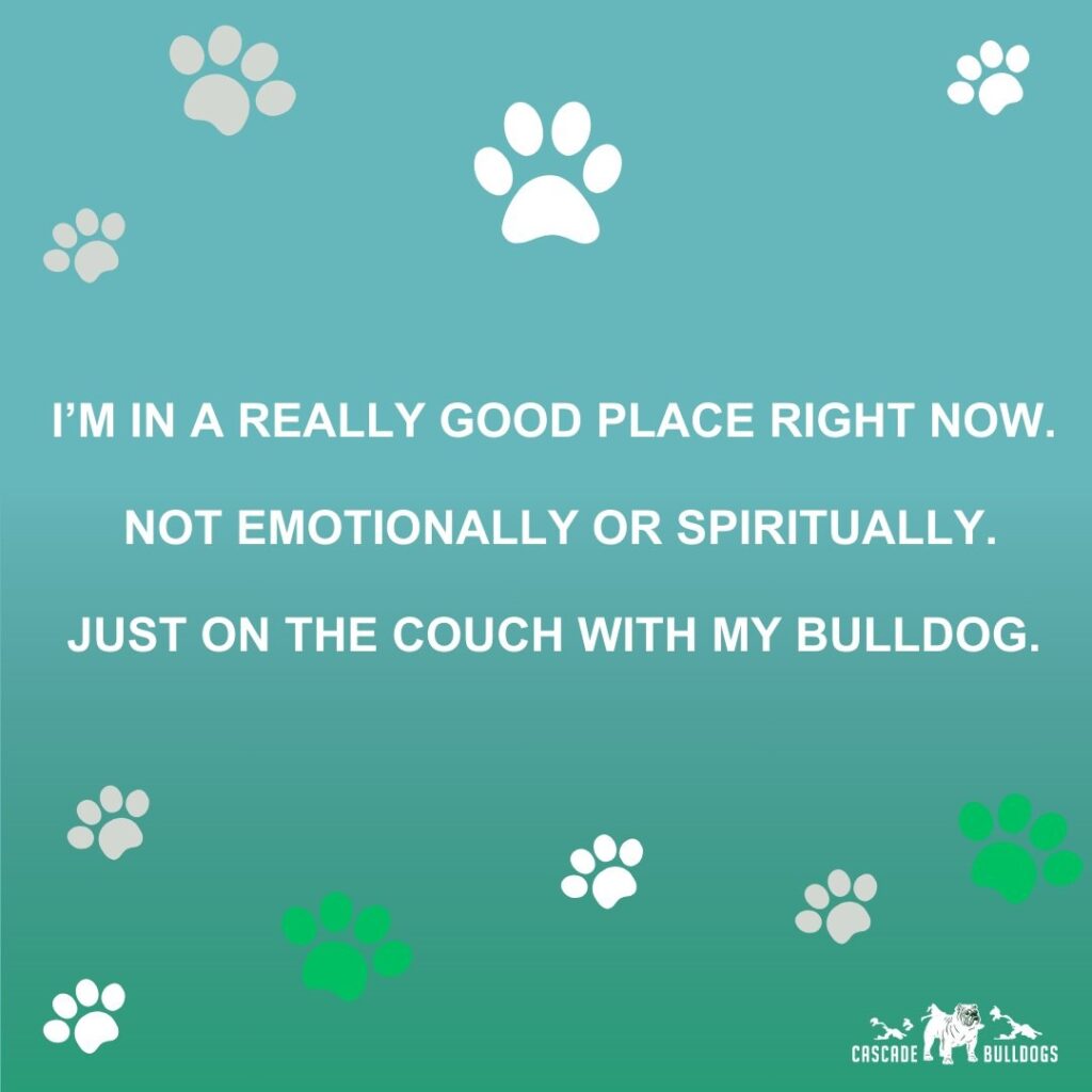 I'm in a really good place right now. Not emotionally or spiritually. Just on the couch with my bulldog.