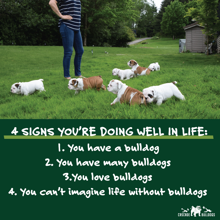 Signs you're doing well in life quote