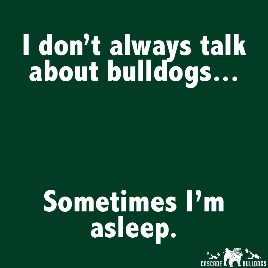 I don't always talk about bulldogs...Sometimes I'm asleep.