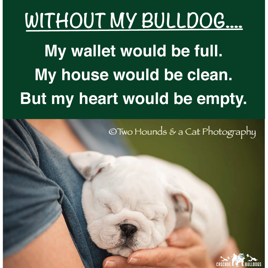 Without my bulldog, my wallet would be full, my house would be clean, but my heart would be empty.