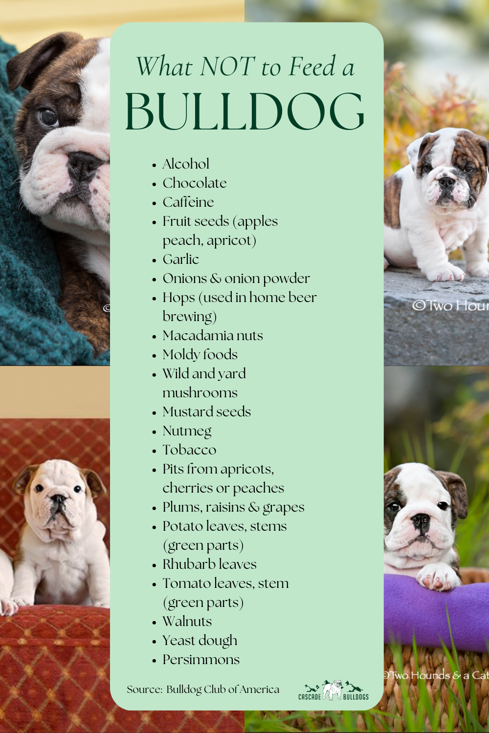 what not to feed bulldogs